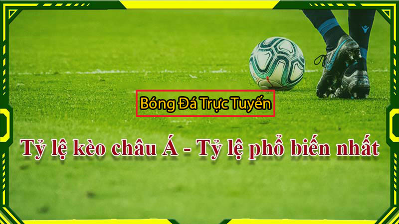 tỷ lệ cá cược bóng đá kèo châu á